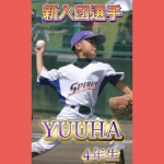 新しく仲間が増えました。